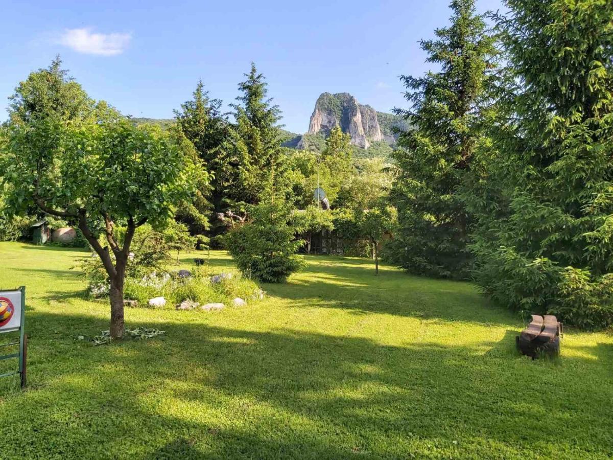 Bungalow Camping Edelweiss - Floare De Colt - Gyopar Ріметя Екстер'єр фото